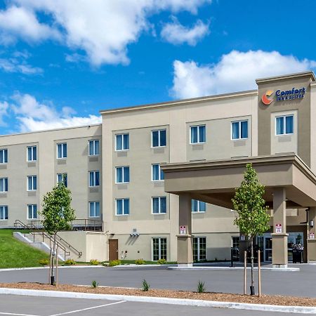 Comfort Inn & Suites Greater Napanee Exterior foto